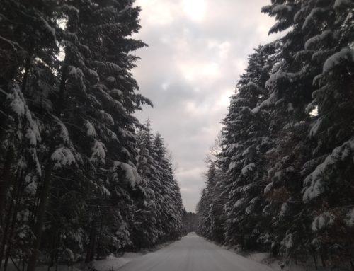 Zima w Osówku